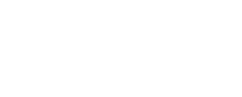Wild Clean