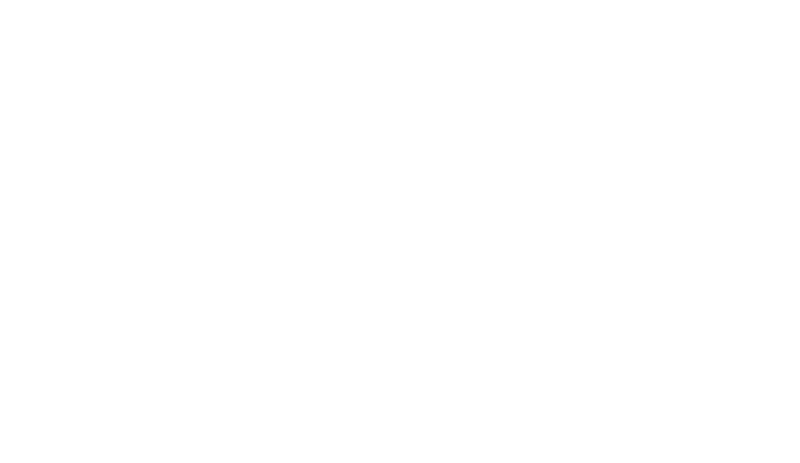 Western Digital (WD)