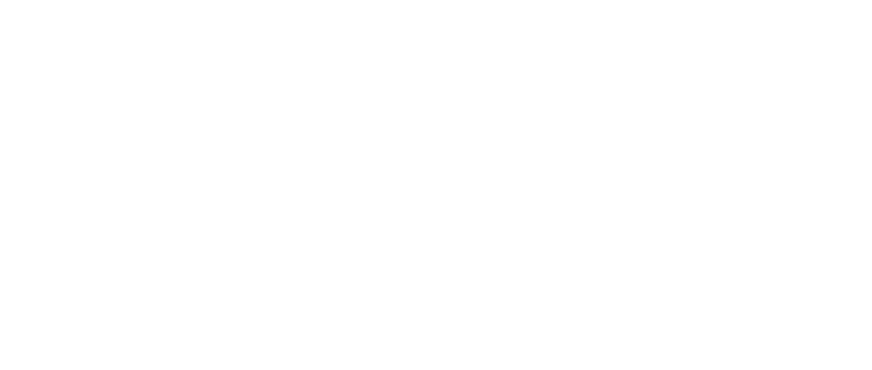 Lens Lizard