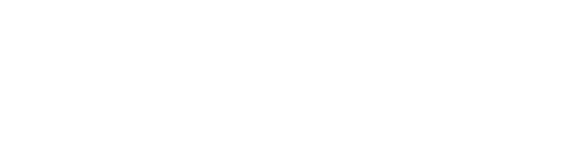 Daylight Computer Company