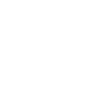 Midwest Immersive
