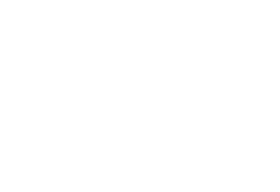 Couples Institute