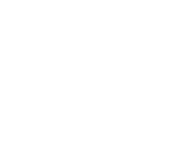 New Holland