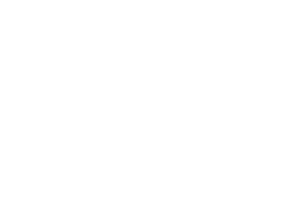 Nine Arches
